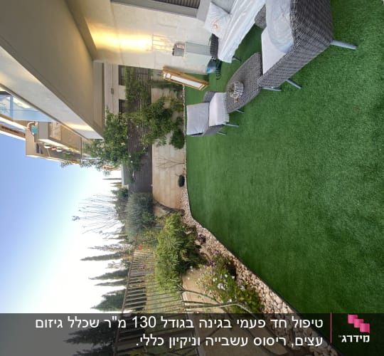 דשא סינתטי, עצים ושיחים בגינה מטופחת